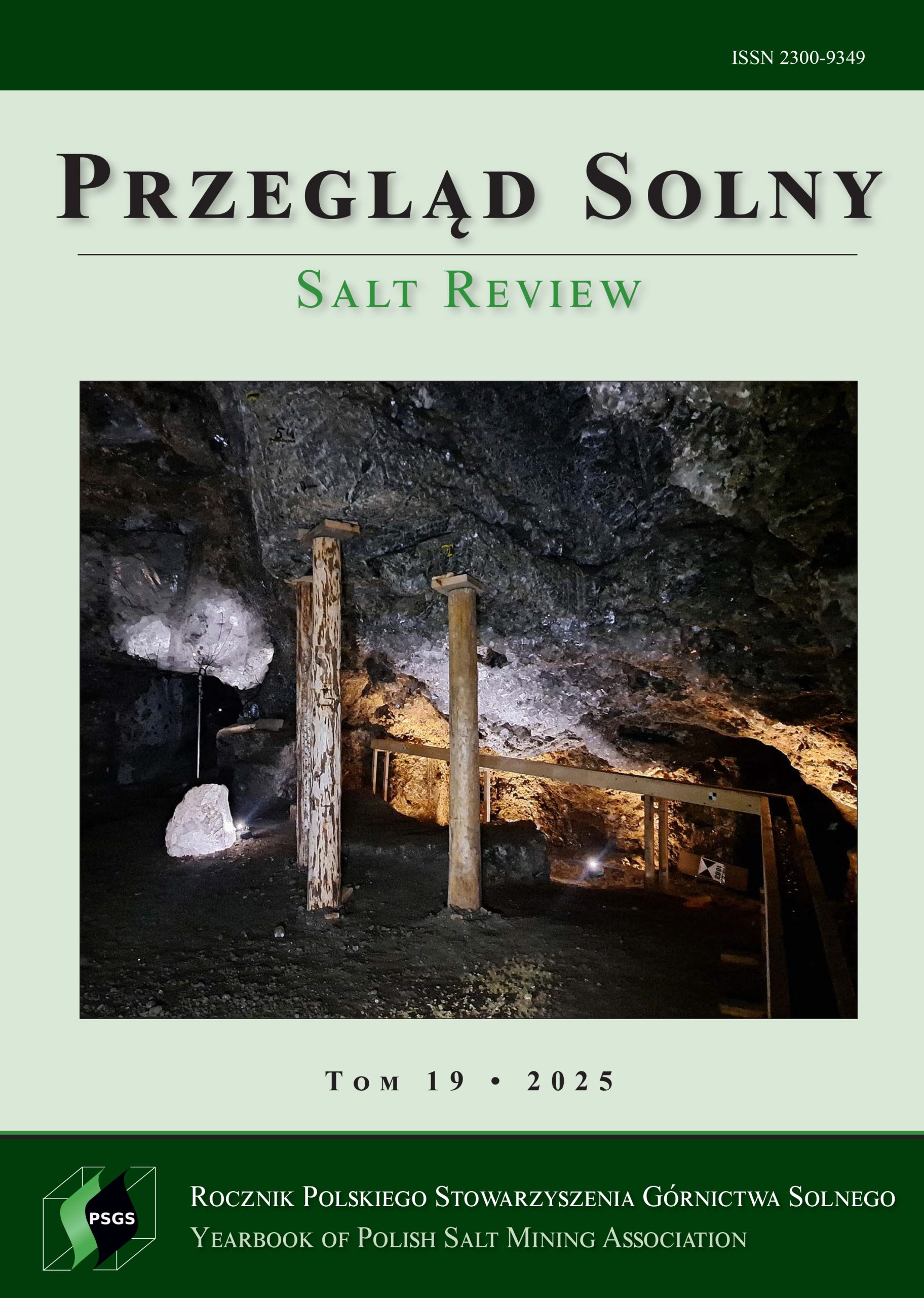 Salzüberblick Jahrbuch des Polnischen Salzbergbauverbands 2025